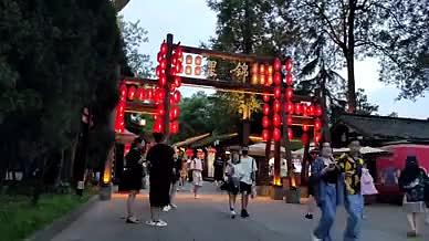 四川旅行游玩锦里拍摄城市风光视频的预览图